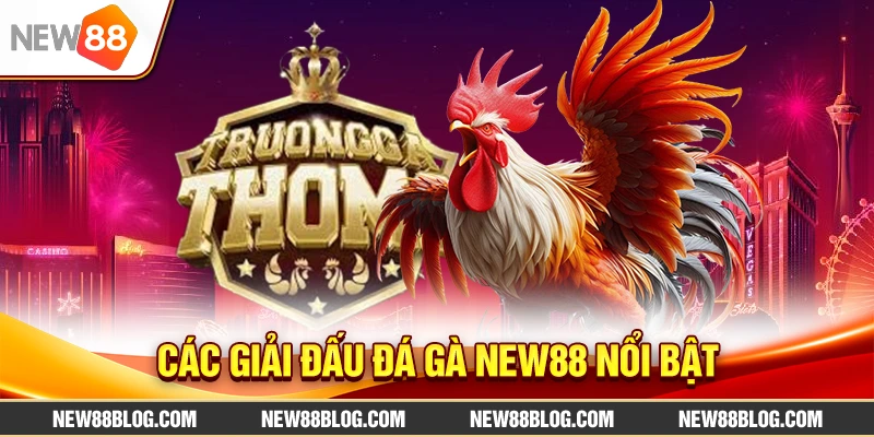 Đá Gà New88 Live Trực Tiếp: Trận Đấu Kịch Tính, Thưởng Cao 2 Các giải đấu đá gà new88 nổi bật