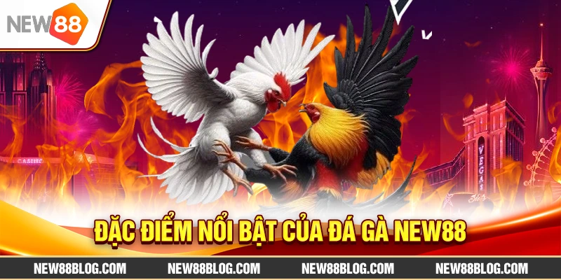 Đá Gà New88 Live Trực Tiếp: Trận Đấu Kịch Tính, Thưởng Cao 1 Đặc điểm nổi bật của Đá Gà New88